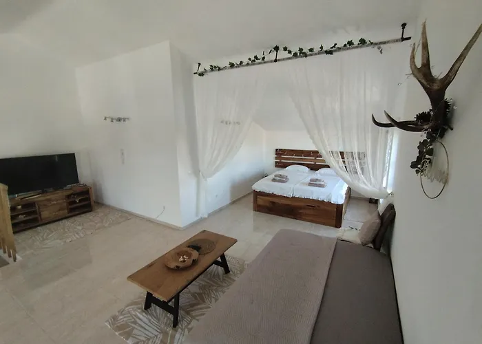 Appartement Duplex *