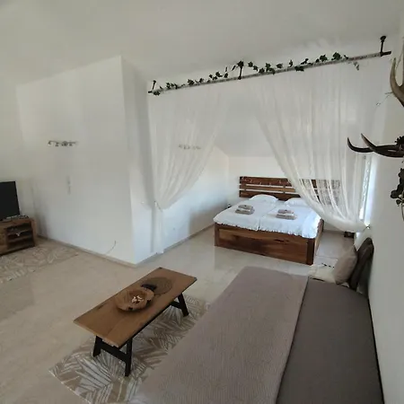 Apartment Duplex *