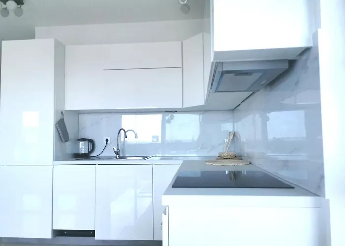 Duplex 公寓 *